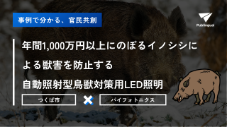 【つくば市×パイフォトニクス】年間1,000万円以上にのぼるイノシシによる獣害を防止する自動照射型鳥獣対策用LED照明｜#事例で分かる官民共創